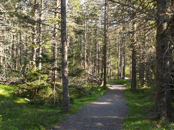 Ship Harbor Trail (photo by Webmaster)