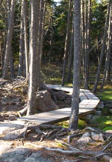 Boardwalk on Ship Harbor Trail (photo by Webmaster)
