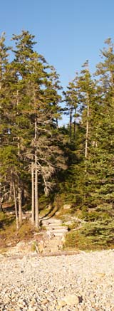The gravel bar in Ship Harbor and the stairs leading back up to the main trail (photo by Webmaster)