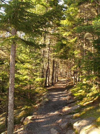 Ship Harbor Trail (photo by Webmaster)