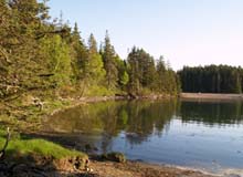 View of Ship Harbor from Ship Harbor Trail (photo by Webmaster)