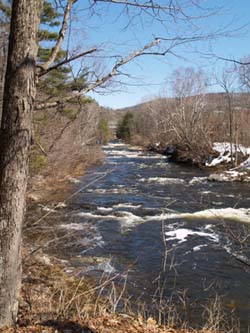Looking upstream from the first bench (photo by Webmaster)