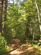 Ben Utter Trail (photo by Webmaster)