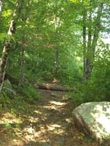 Ben Utter Trail (photo by Webmaster)