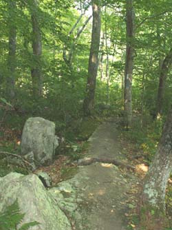 Ben Utter Trail (photo by Webmaster)