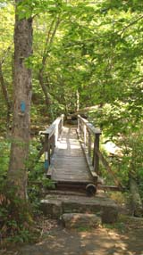 Footbridge over Falls River (photo by Webmaster)