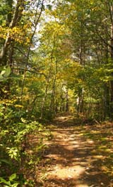 Ben Utter Trail before Stepstone Falls (photo by Webmaster)