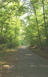 Paved section of woods road (photo by Webmaster)