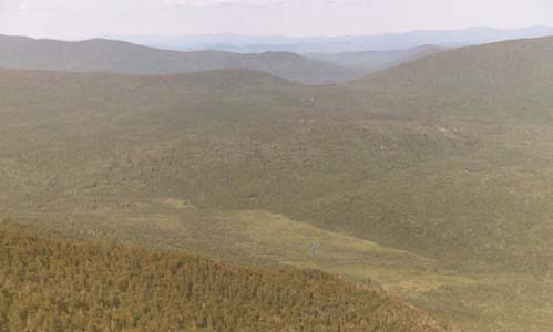 Nash Pond Bog (photo by Webmaster)