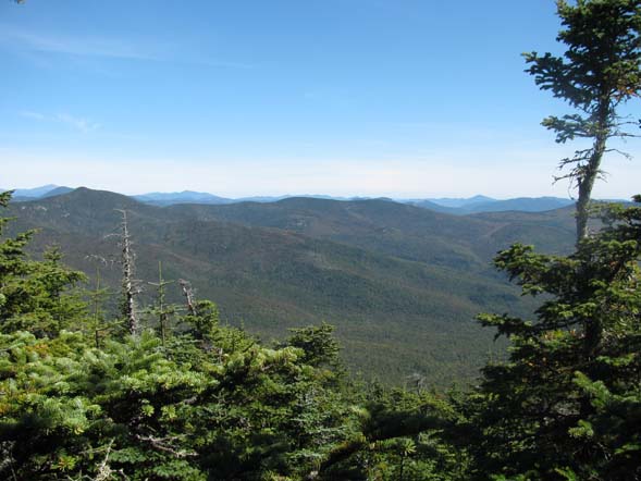 View from the summit of Mount Tecumseh (photo by Karl Searl)