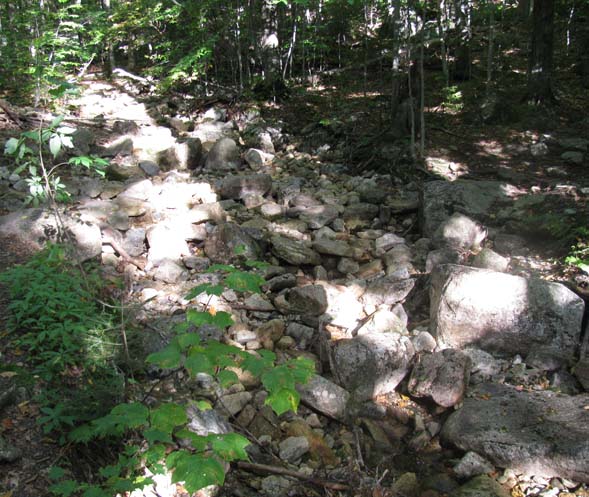 Dry, rock-filled stream at the second crossing of Tecumseh Brook (photo by Karl Searl)