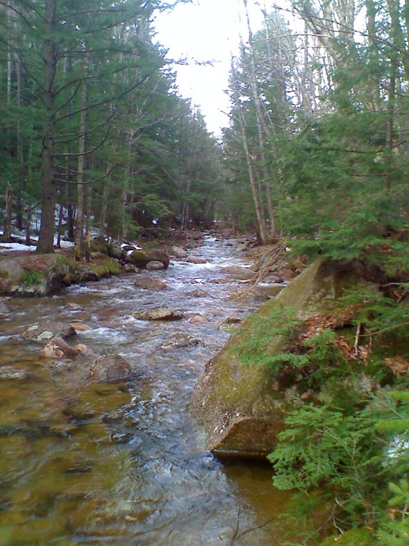 Brook (photo by Bill Mahony)