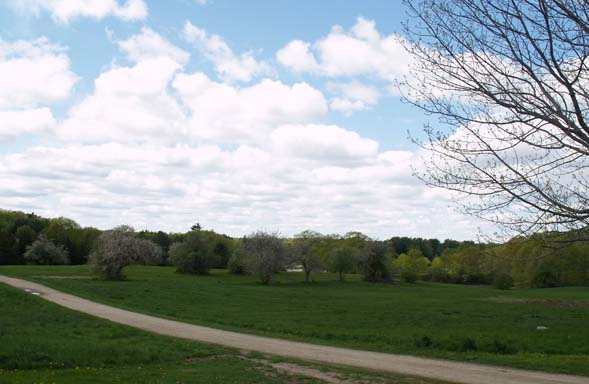 View of gravel trail and apple orchard from next to the upper parking area (photo by Webmaster)