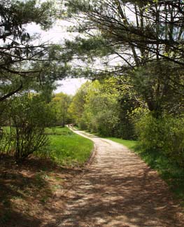 Gravel trail leading to the waterfront (photo by Webmaster)