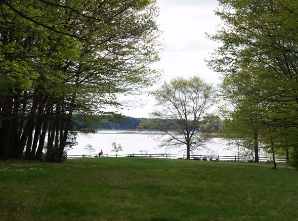 Little Bay and Oyster River waterfront area (photo by Webmaster)