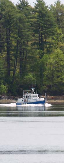 Boat on Oyster River (photo by Webmaster)