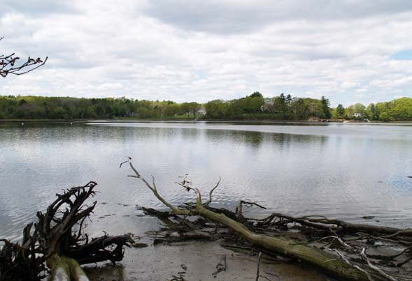 View of Oyster River from the woods trail (photo by Webmaster)