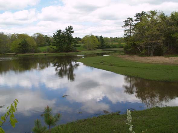 View of Oyster River from the end of a peninsula (photo by Webmaster)