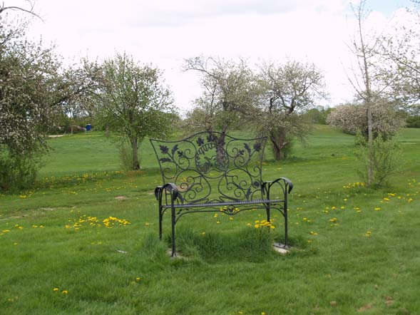 Ornate black bench in the apple orchard (photo by Webmaster)