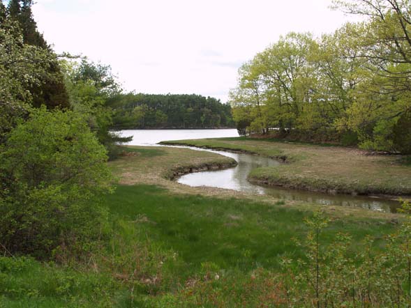 Waterway and Little Bay / Oyster River (photo by Webmaster)