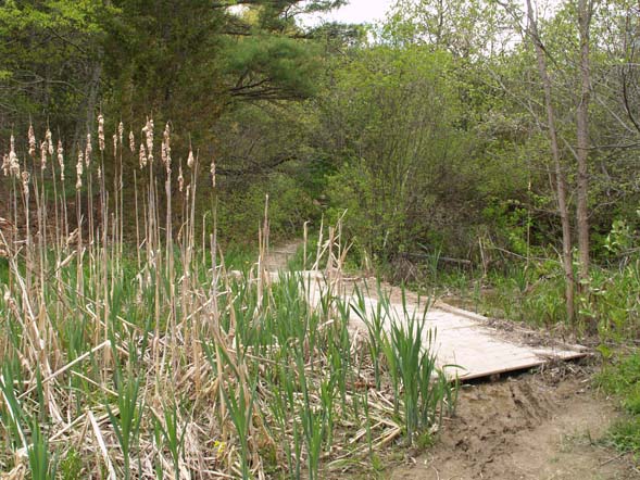 Bridge over a channel near the bottom of the meadows (photo by Webmaster)