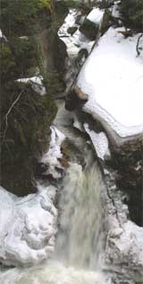 Welton Falls (photo by Webmaster)