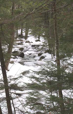 Fowler River (photo by Webmaster)