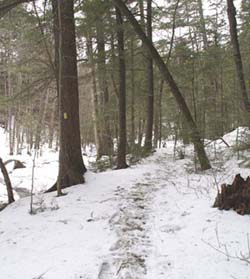 Manning Trail (photo by Webmaster)