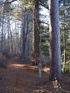 Lake Trail (photo by Webmaster)
