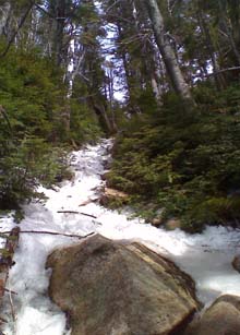 Walden Trail (photo by Bill Mahony)