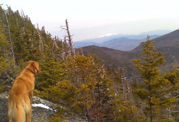 Hunter checking out the views from Whiteface's ledges with Mt. Washington in the background (photo by Bill Mahony)