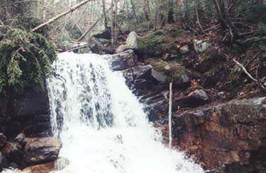 Waterfall at Centennial Pool (photo by Webmaster)
