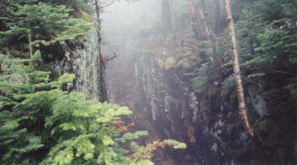 Hitchcock Flume (photo by Webmaster)
