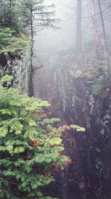 Hitchcock Flume photo taken in May 1998 when it was less overgrown (photo by Webmaster)