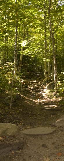 Mount Willard Trail (photo by Webmaster)