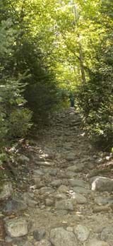 Rocky section of Mount Willard Trail (photo by Webmaster)