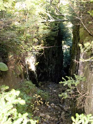 Hitchcock Flume taken from its head (photo by Webmaster)