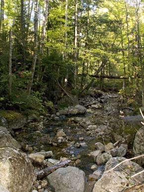 Upstream from Centennial Pool (photo by Webmaster)