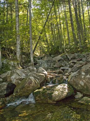 Stream at the bottom of the second spur (on the descent) (photo by Webmaster)