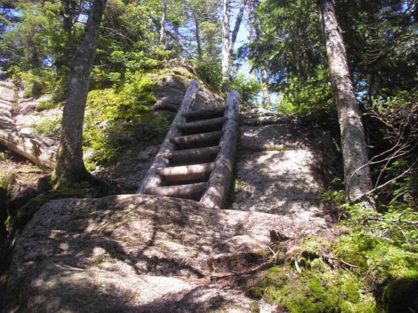 Ladder on Twinway between Zeacliff Pond and Zealand Mountain (photo by Kathy V.)