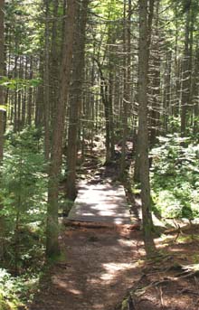 Footbridge on Zealand Trail (photo by Webmaster)