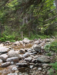 Zealand River (photo by Webmaster)