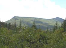 Zealand Ridge (photo by Webmaster)