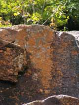 Orangey rock of Upper Zealand Falls (photo by Webmaster)