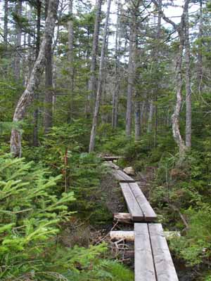 Lend-A-Hand Trail (photo by Webmaster)