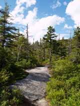 Ledges on Lend-A-Hand Trail (photo by Webmaster)