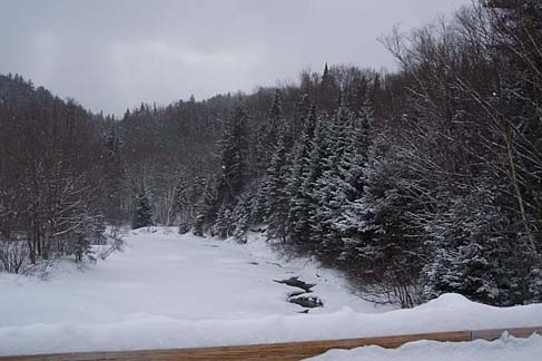 River (photo by Rachel Bowles)