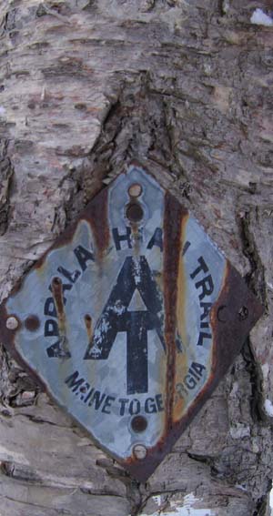 Worn-out Appalachian Trail sign on a tree trunk (photo by Mark Malnati)