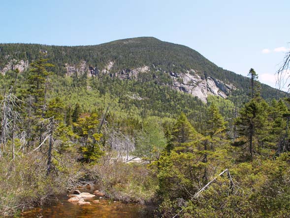 Mount Willey as seen from the western end (off trail) of Ethan Pond (photo by Webmaster)
