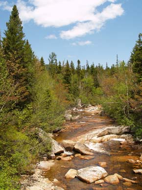 The North Fork of the Eastern Branch of the Pemigewasset River, seen from the bridge on  Ethan Pond Trail (photo by Webmaster)